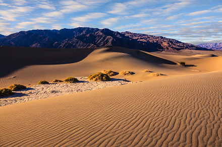 The  morning over sand dunes, a Nature Photo by kavram