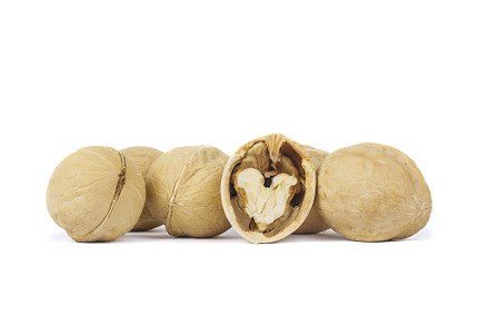Walnut isolated on white background, a Food & Drink Photo by AlexBush