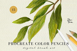 15 Procreate Color Pencils Brush Set, a Brush Add-On by Jenteva Art