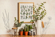 Healing Herbs * Botanical Bundle, a Healthcare Illustration by Ink Stories (Thumbnail 4 of 13)