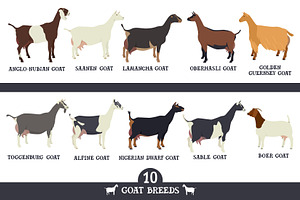 Goat Breeds