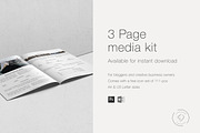 3 Page Press Kit for Bloggers, a Resume Template by Leo Resume (Thumbnail 4 of 5)