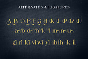 Alibold, a Serif Font by Rishsketch (Thumbnail 12 of 14)