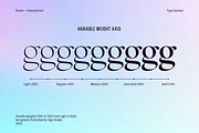 Rocen VF - Variable Display Serif, a Serif Font by Sign Studio (Thumbnail 2 of 16)