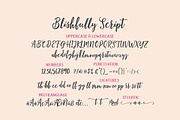 Blishfully Font Duo, a Script Font by Areatype (Thumbnail 13 of 14)
