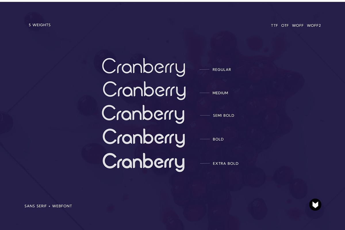 Cranberry Display Typeface, a Font by Foxtype (Photo 6 of 8)