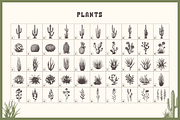 Wild, Wild West. 250 Illustrations, an Object Graphic by Cosmic Store (Thumbnail 6 of 9)