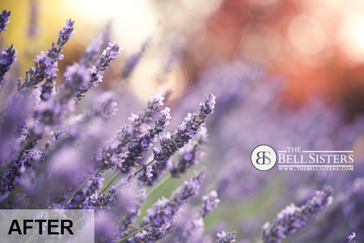 Pro Lightroom Preset Pack, an Action Add-On by The Bell Sisters (Photo 3 of 13)