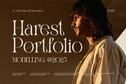 Elgore Elegant Modern Serif Font, a Serif Font by Graphicxell (Thumbnail 3 of 8)