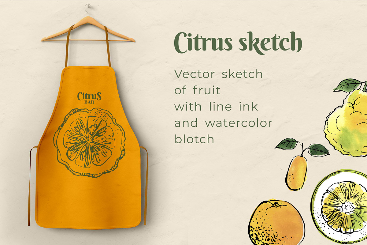 Citrus sketch. Oranges and lemons, a Food Illustration by irina.vaneeva (Photo 11 of 11)