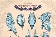 Wintery Owls, an Animal Illustration by Ink Stories (Thumbnail 3 of 26)
