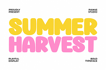 Summer Harvest - Playful Display