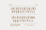 Glafins Modern Ligature Serif Font, a Serif Font by Perfectype (Thumbnail 8 of 8)