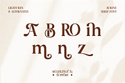 Aurine Modern Display Serif Font, a Serif Font by Rasio Studio (Thumbnail 4 of 8)