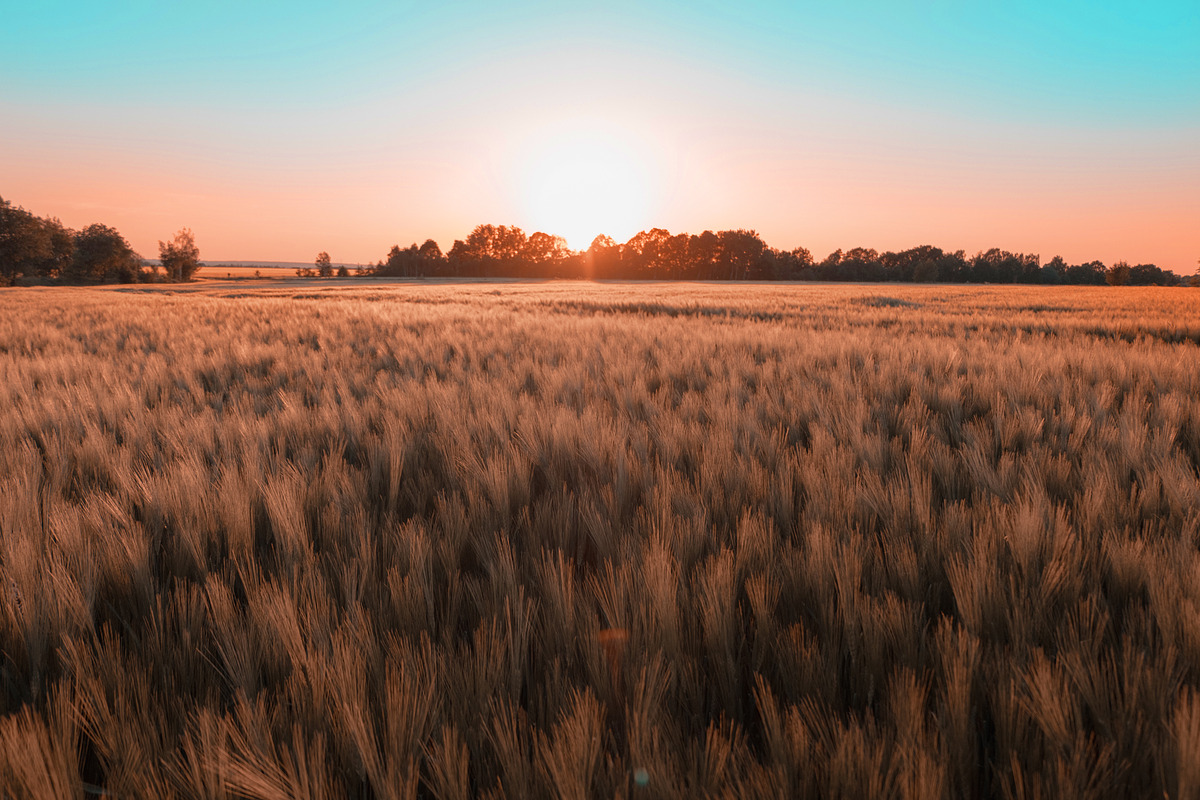 Orange & Teal Lightroom Presets, an Action Add-On by Maple Visuals (Photo 9 of 9)
