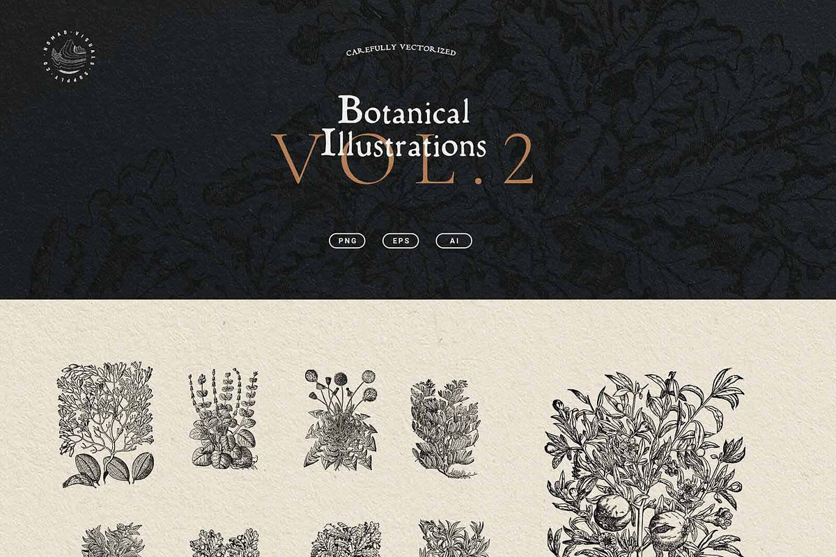 Vintage Bundle - 6600+ Illustrations, an Object Graphic by Nomad Visuals (Photo 31 of 46)