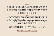 Classical Diary - Serif Font, a Serif Font by Letterhend Studio (Thumbnail 7 of 9)