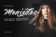 Verdons Wild - Vintage Brush Script, a Script Font by Bale Type (Thumbnail 3 of 10)