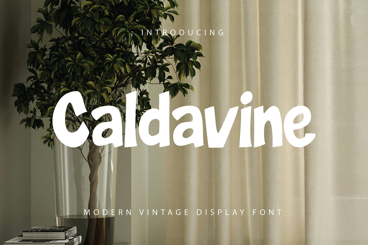 Caldavine Display, a Serif Font by Eltypesstudio (Photo 1 of 10)