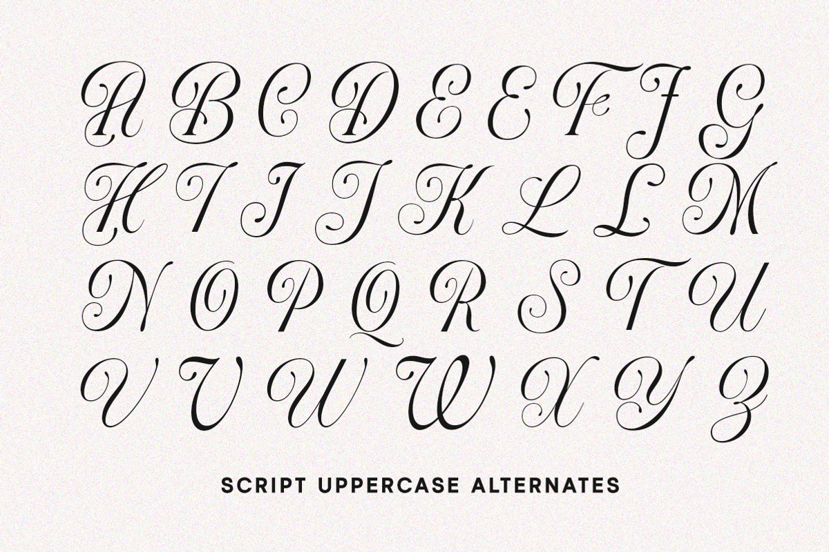 Aurora Moonlight Dreamy Serif, a Serif Font by Letterhend Studio (Photo 10 of 12)
