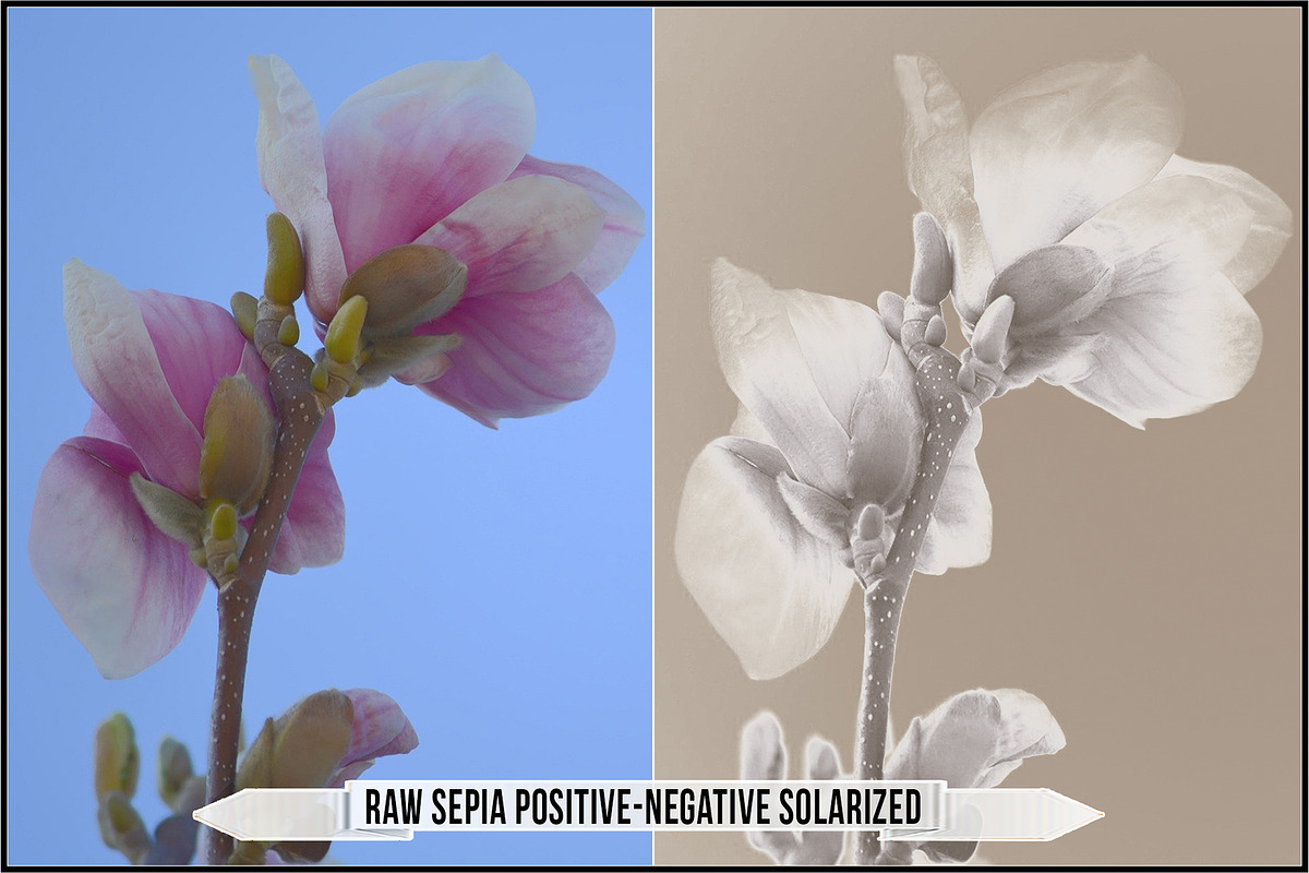Authentic Sepia LUTs - Version 2, a Plug-in Add-On by Raztrend (Photo 30 of 30)