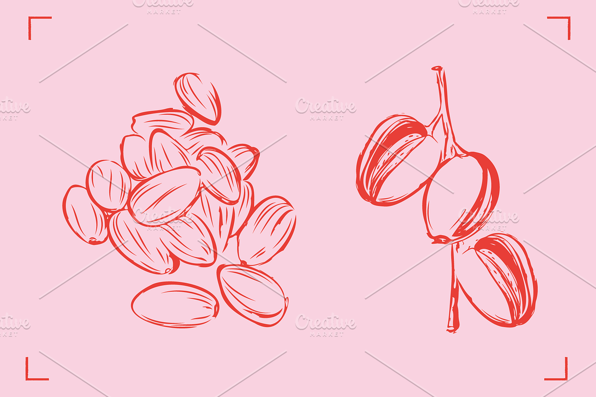 ALMOND LINE ART SET (14+ elements), a Food Illustration by Bonfloret Studio (Photo 2 of 8)