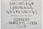 Bookmark, a Handwritten Font by FreshTypeINK (Thumbnail 8 of 8)