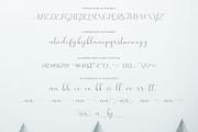 Merlin Script, a Script Font by Uloel Design (Thumbnail 8 of 8)