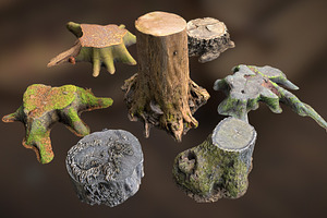 7 TREE STUMPS