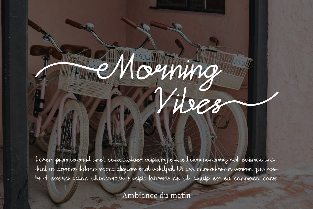 Lylia - Stylish Script Font, a Script Font by Inventype Studio (Photo 3 of 9)