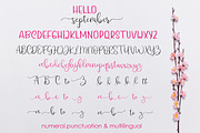 Hello September, a Script Font by AMINMARIO (Thumbnail 13 of 14)