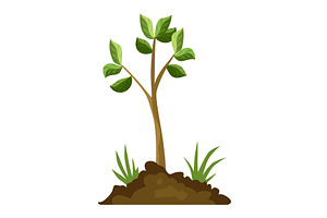 Stage of tree growth. Small, an Object Illustration by Things for designers