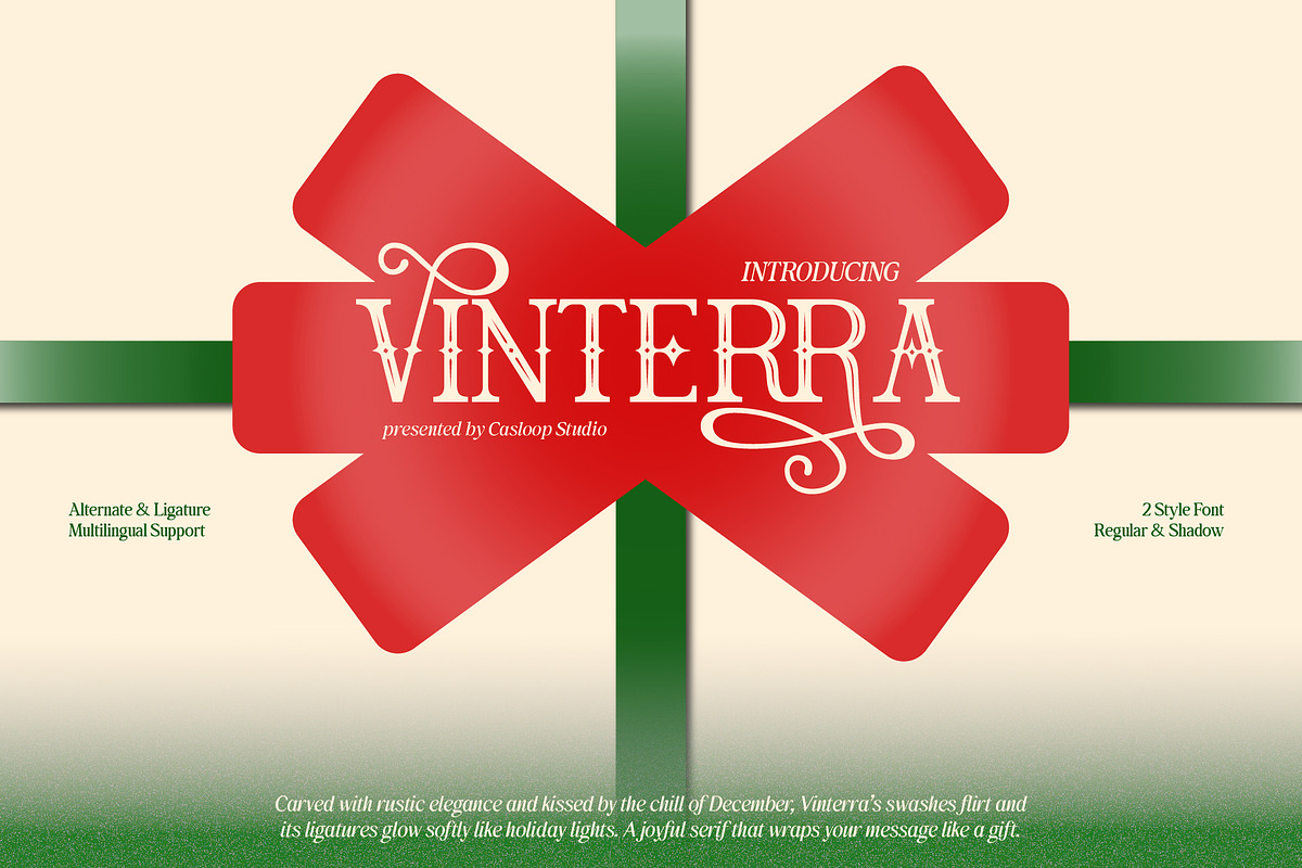 Vinterra - Modern Display Serif Font, a Serif Font by Casloop Studio (Photo 1 of 10)