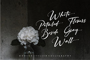 Ruthligos Font, a Handwritten Font by typeline studio (Thumbnail 11 of 12)