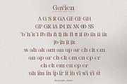 Gavien _ Ligature Serif Font, a Serif Font by Penatic Studio (Thumbnail 8 of 10)