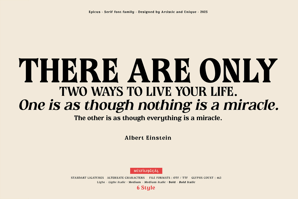 Epicus - Serif font family, a Font by Artistic & Unique (Photo 14 of 14)