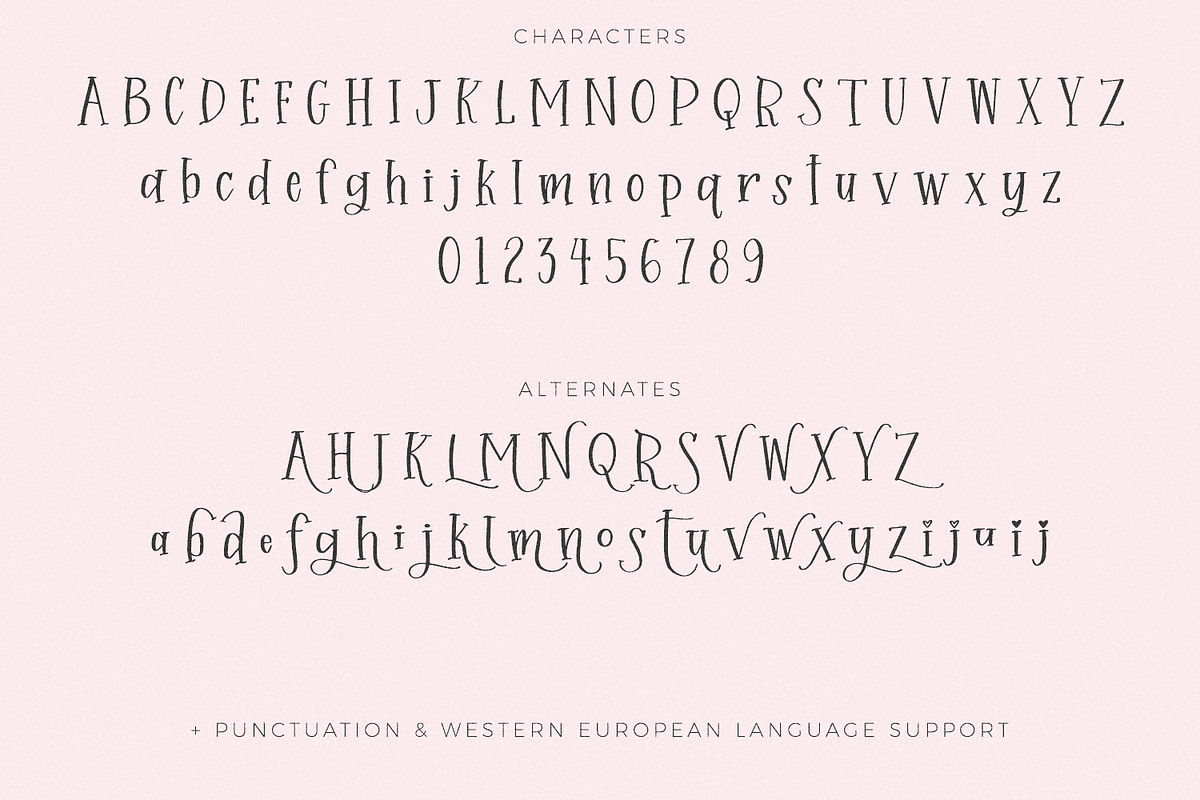 Sprinkle Cookie Serif, a Handwritten Font by Beck McCormick (Photo 10 of 10)