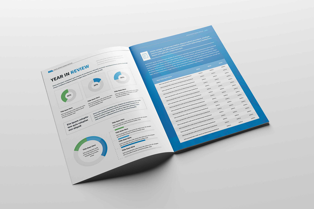 Annual Report Brochure, a Brochure Template by New Lines (Photo 10 of 13)