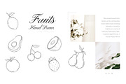 Fruits Hand Drawn Illustrations, a Food Illustration by lanterby Illustration (Thumbnail 2 of 4)