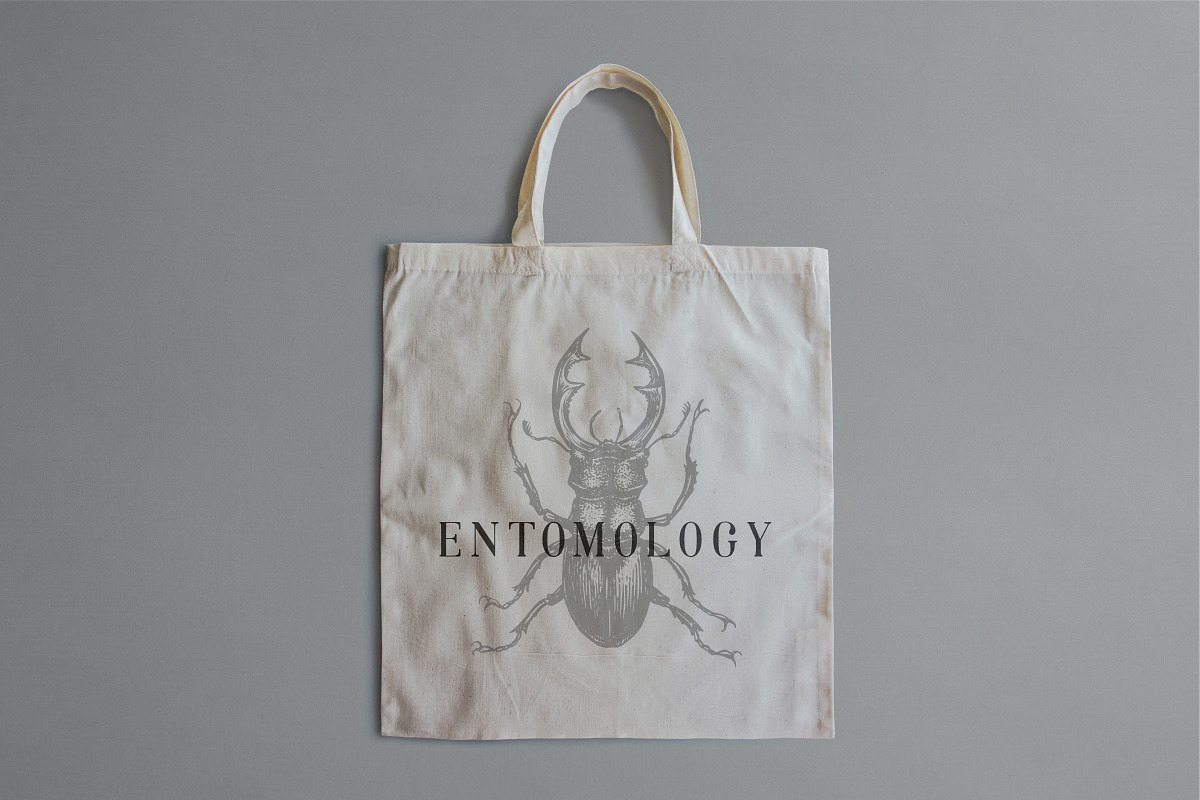 ENTOMOLOGY. Insects Vintage Pack., a Decorative Illustration by Chewie Co (Photo 3 of 11)
