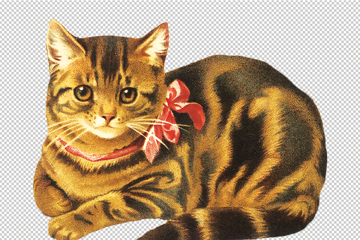 Vintage Cat Painting, an Illustration by Professional Assets (Photo 2 of 3)