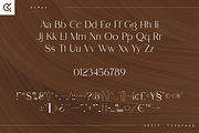 Alpas - soft serif typeface, a Serif Font by Only Fonts (Thumbnail 9 of 11)