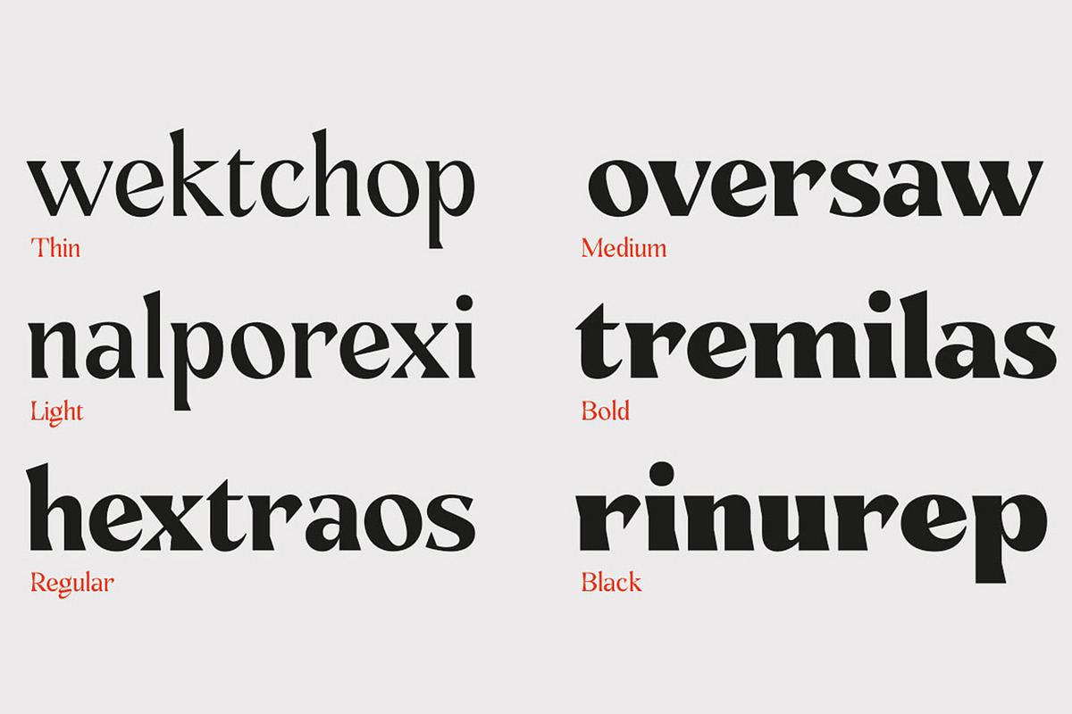 Kenza Font Family, a Serif Font by Alex_Camacho_Studio (Photo 7 of 9)