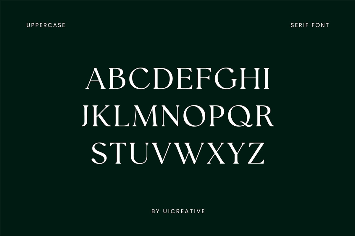 Ariane Coachella Elegant Serif Font, a Serif Font by UICreative (Photo 9 of 13)