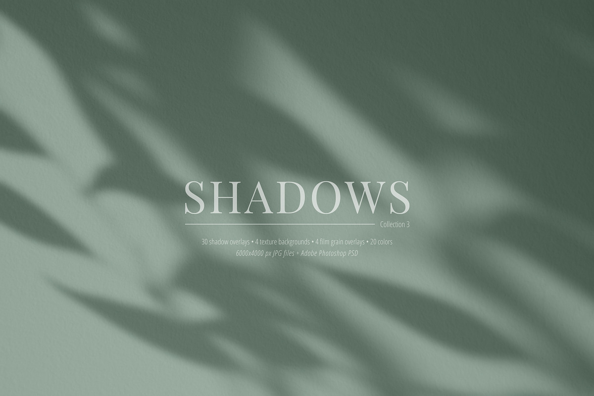 30 Shadow Overlays vol. 03 Plants, a Background Graphic by DESIGN BY nube (Photo 1 of 10)