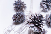 Holiday Stock Bundle, a Holiday Photo by r.r.palacios (Thumbnail 5 of 6)