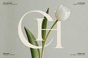 GC Begia - Modern Luxury Typeface, a Serif Font by Glyphonic (Thumbnail 6 of 15)
