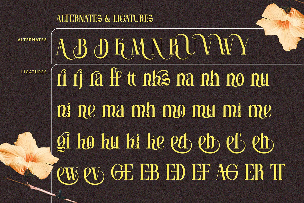 Soneburg; Display Serif Font, a Serif Font by Eko Bimantara (Photo 10 of 10)