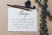 Daneworch Classy Script Font, a Script Font by UICreative (Thumbnail 3 of 13)