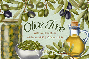 Olive Tree